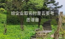 在取名企业时是否应该考虑谐音以避免出现不当效应的问题？