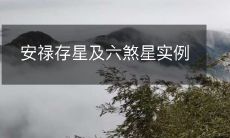 一些安禄存星和六煞星的例子解析