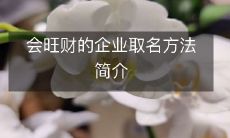 如何为企业取能够招财进宝的名字：具体指南