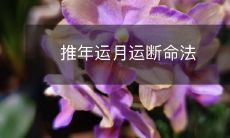 探究推算人生发展的年运、月运和断命法