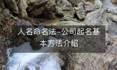 探究人名命名法——详细介绍公司起名的基本方法和步骤