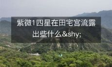 探寻紫微1四星在田宅宫所流露出的奥秘和启示:揭开宫位明灯的神秘面纱!