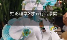 使用姓论理学三才五行的原则来促进身体健康