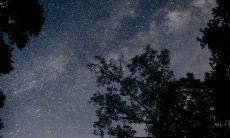 2025年出生的人属于哪个星座？他们将被称为什么？