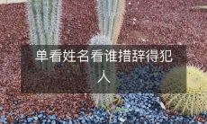 以仅凭姓名分辨话犯的挑战,看谁能在措辞上瞒过对手