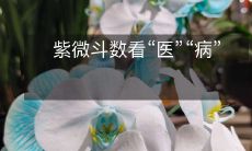 紫微斗数的预测能力:揭秘疾病预防和健康治疗的宝贵坐标