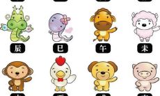 2022年12月25日的属相相冲概览：哪些生肖会发生相冲现象？