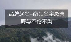 在品牌起名中,避免使用过于隐晦或不伦不类的商品名字
