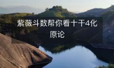 通过紫薇斗数,了解十干四化原论的方法与技巧