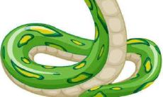 2001年出生的蛇年属相人在2020年的全年运势及未来走势展望