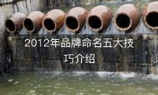 探讨2012年在品牌命名方面最有效的五大技巧及其详细介绍