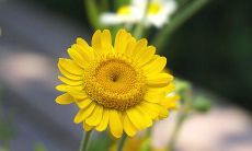 为办公室风水着想,搬迁之际需留意何事项?