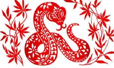 属蛇人后半生的状态如何?是事业顺利、命运准确吗?