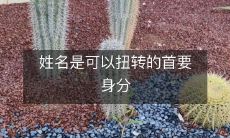 重建身份认同:姓名可被改写,不是最重要的身份特征