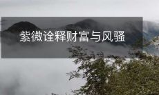 通过紫微星座深入解读——探究财富与魅力之间的奥妙