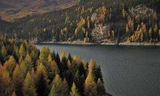 如何根据风水理论为家庭布置提供指导,以获得紫气东来,让家里呈现出繁荣富贵、吉祥如意的氛围,同时了解紫气的定义及如何观测和解读