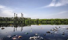 在住宅中摆放哪些物品可以带来财富和好运？