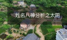 通过八神姓名分析,探究太阴的性格特点及其对人生的影响