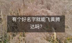 能否凭借一个好名字而一飞冲天？ 名字对于成功的影响有多大？