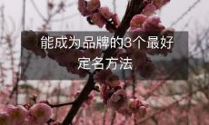 探究品牌命名之道:揭秘能让你的品牌成为行业佼佼者的三个最佳定名策略