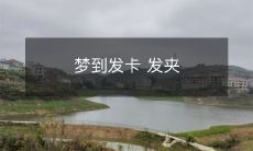 梦中出现的发卡和发夹，引发了我对美发世界的思考和探索