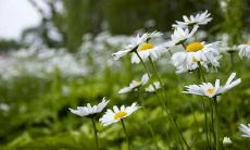 在风水角度考虑如何合理分配房间空间?