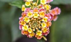 哪些星座在十二宫中最难被人识破真实面貌?