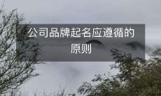 在起名公司品牌时,需要遵循的原则和注意事项有哪些?