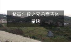 揭秘紫微斗数中的兄弟宫吉凶星诀,为你的人生决策提供准确的指导