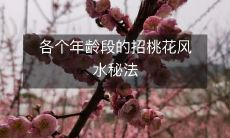 涵盖不同年龄层的招桃花风水秘诀,让你轻松获得爱情幸福!