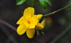 十二星座都在寻找心灵契合,哪些星座男子更注重与另一半的内心精神交流?