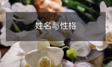 探究个人姓名与个性特征之间的关系:探寻以姓名为基础的性格预测方法