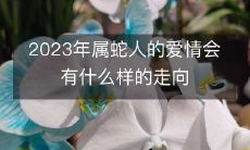 探究未来——2023年属蛇人的爱情将会面临怎样的挑战与机遇?