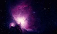 属兔人的2020年10月运势分析：探究生肖兔在这个月的运势、运程和表现