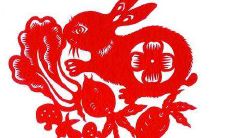 2021年生肖兔的女性们在整个一年中的运势如何表现呢?