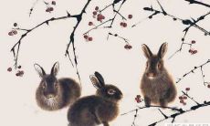 在十二生肖中属兔的人为何总喜欢找你聊天？是因为他们对你有好感吗？