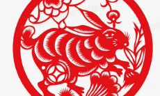 2023年生肖兔的运势和发展方向，以及在此背景下对于属兔人的建议和指导