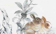 属猪人生兔宝宝的情况如何？兔宝宝与猪妈妈共处的生活状态要注意什么？