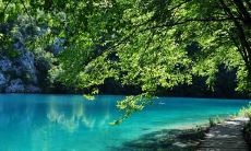 据生肖为兔的女性1963年生肖,2021年她的全年运势究竟如何呢?