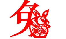 兔年出生的人：婚姻与命运的探究，如何走出烦恼与困惑？