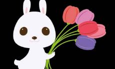 2020年对属兔人的感情生活和幸运状态会有怎样的影响？