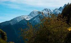 针对属兔的2021年财运展望:是否能够招财纳福,摆脱财务压力?