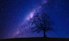 哪些?寻找属兔人的生肖守护神:了解谁是属兔人的克星与盟友