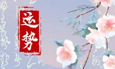 揭秘1990年属马女2023年的综合运势，详解她的全年吉凶与运势趋势