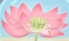 避免交往的O型血人们需要注意的禁忌和注意事项