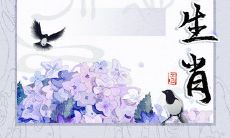 2023年完整版十二生肖运势运程:探究未来一年每个生肖的趋势,预测个性特点、财富、恋情和健康状况