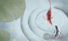 测试你有多少女生会对你倾心并倒追你