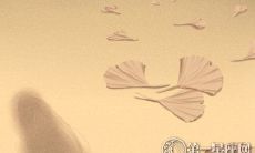 2019年爱情运如何?如何寻找自己的命运之人?重新探索自己的爱情世界:你该朝哪里寻找你的桃花?