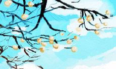 你的2019年桃花运势最旺的时段会出现在何时?