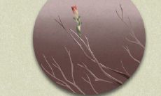 探寻诗经中十二月份的雅称：古风中的十二个月别称